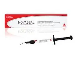 President Novaseal Cam İyonomer Astar